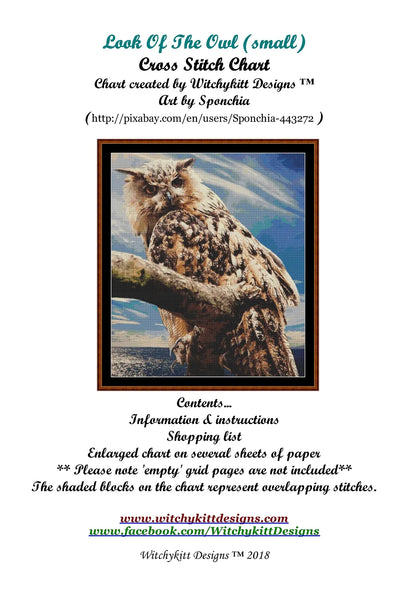 Look Of The Owl  