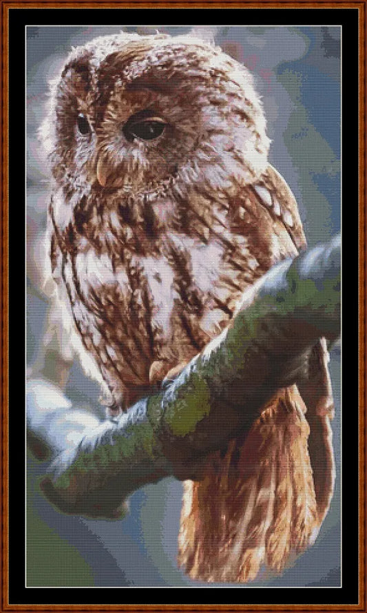 Owl Perch  