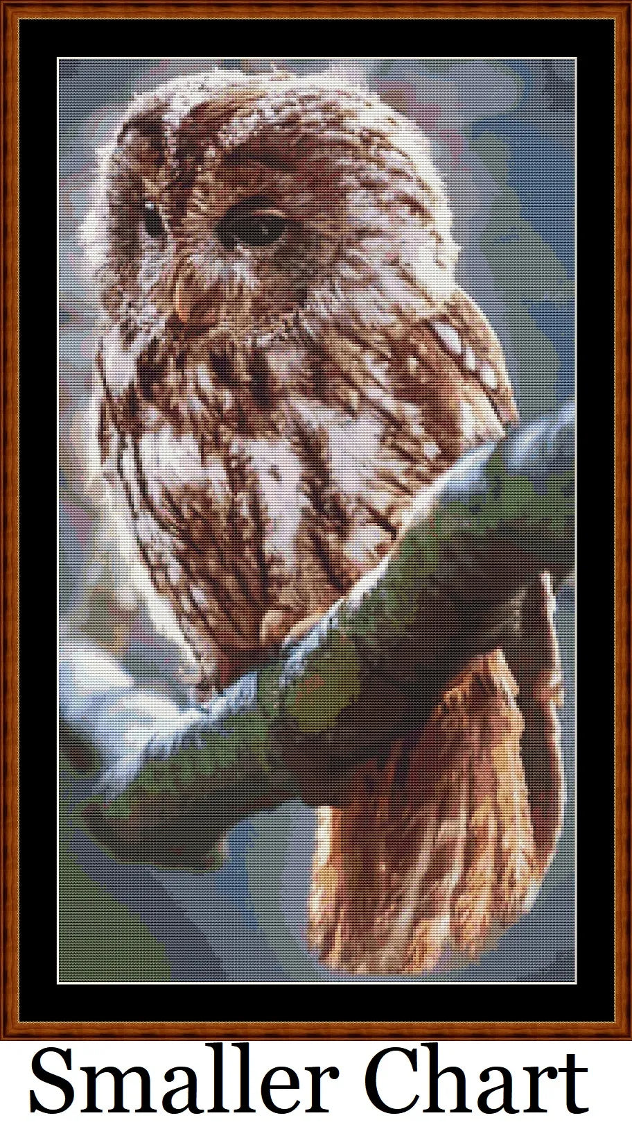Owl Perch  