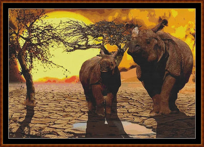 Rhino Sunset  
