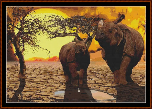 Rhino Sunset  