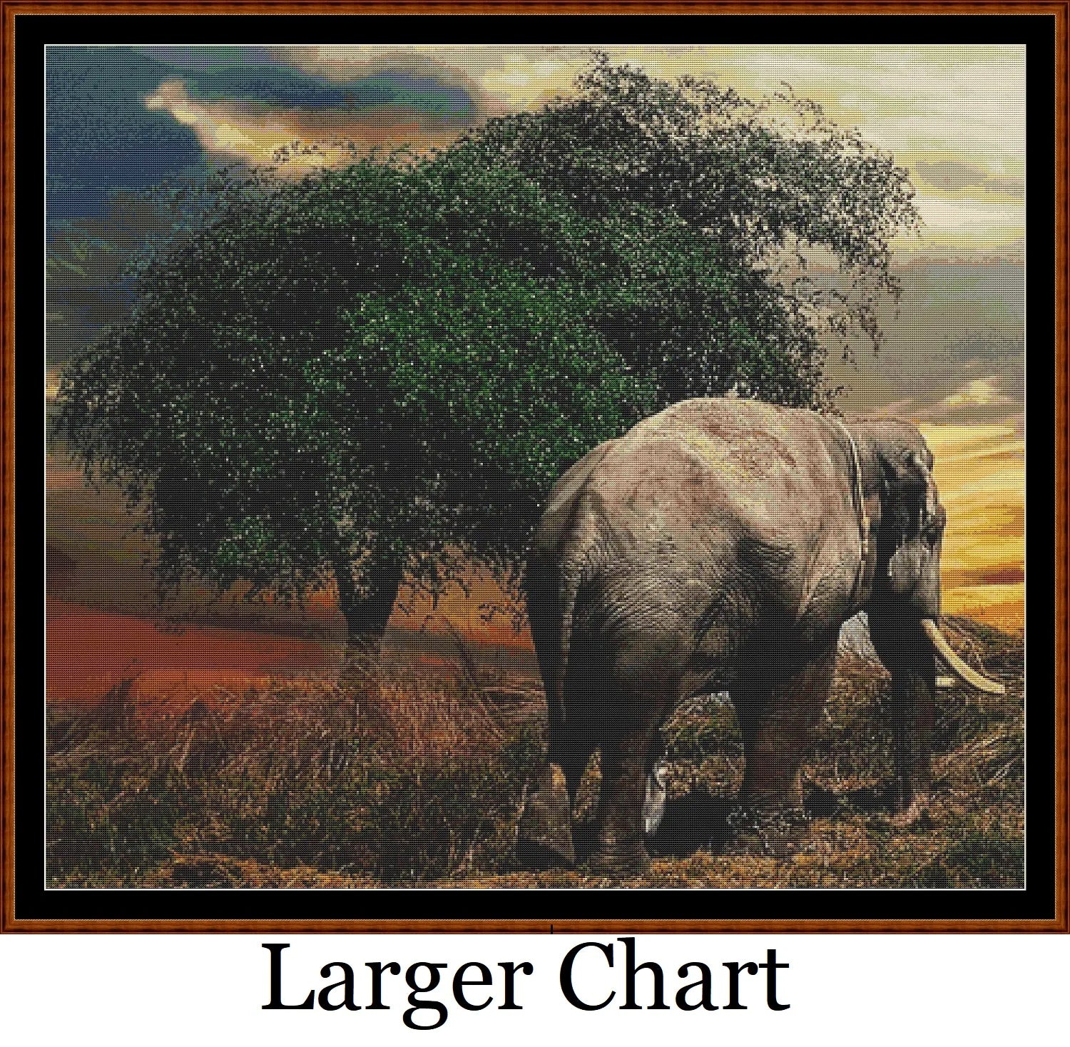 Elephant Tree  