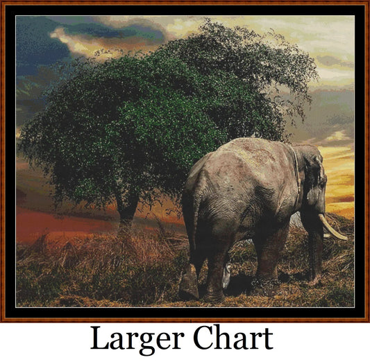 Elephant Tree  