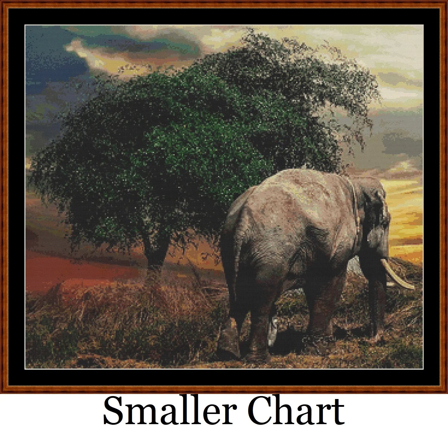 Elephant Tree  