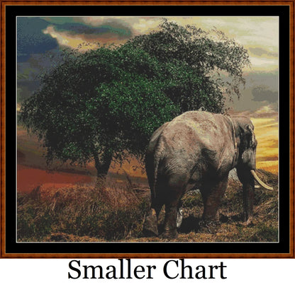 Elephant Tree  