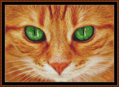 Ol' Green Eyes  