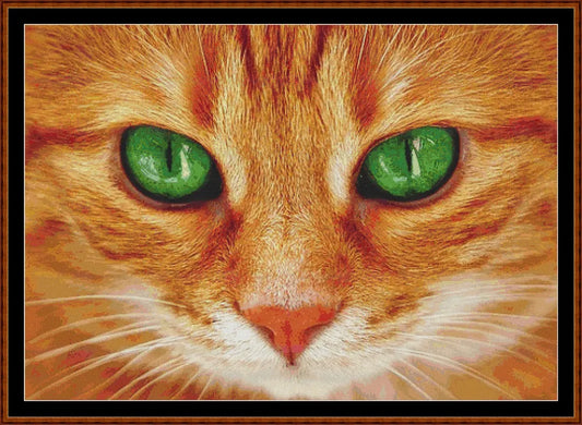 Ol' Green Eyes  