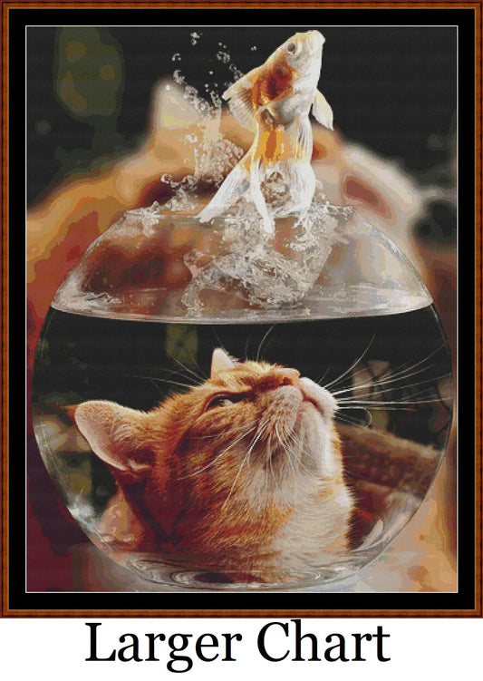 Aquarium  