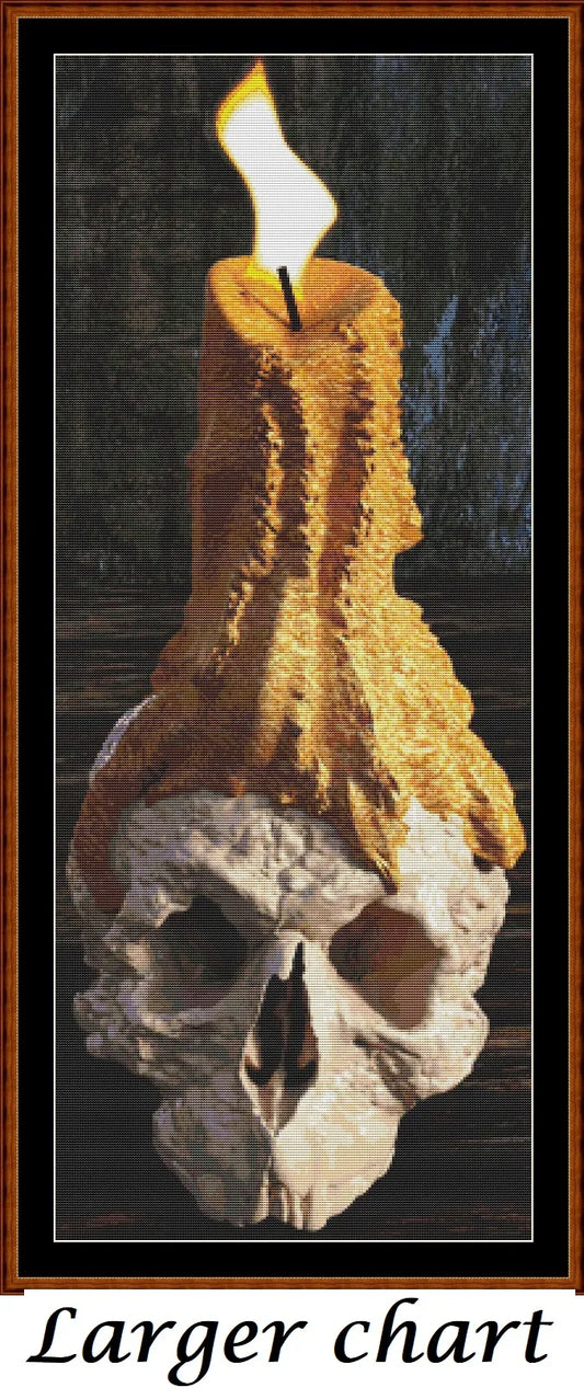 Skull Candle  