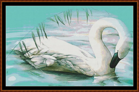 The Swan  