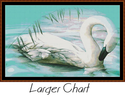 The Swan  