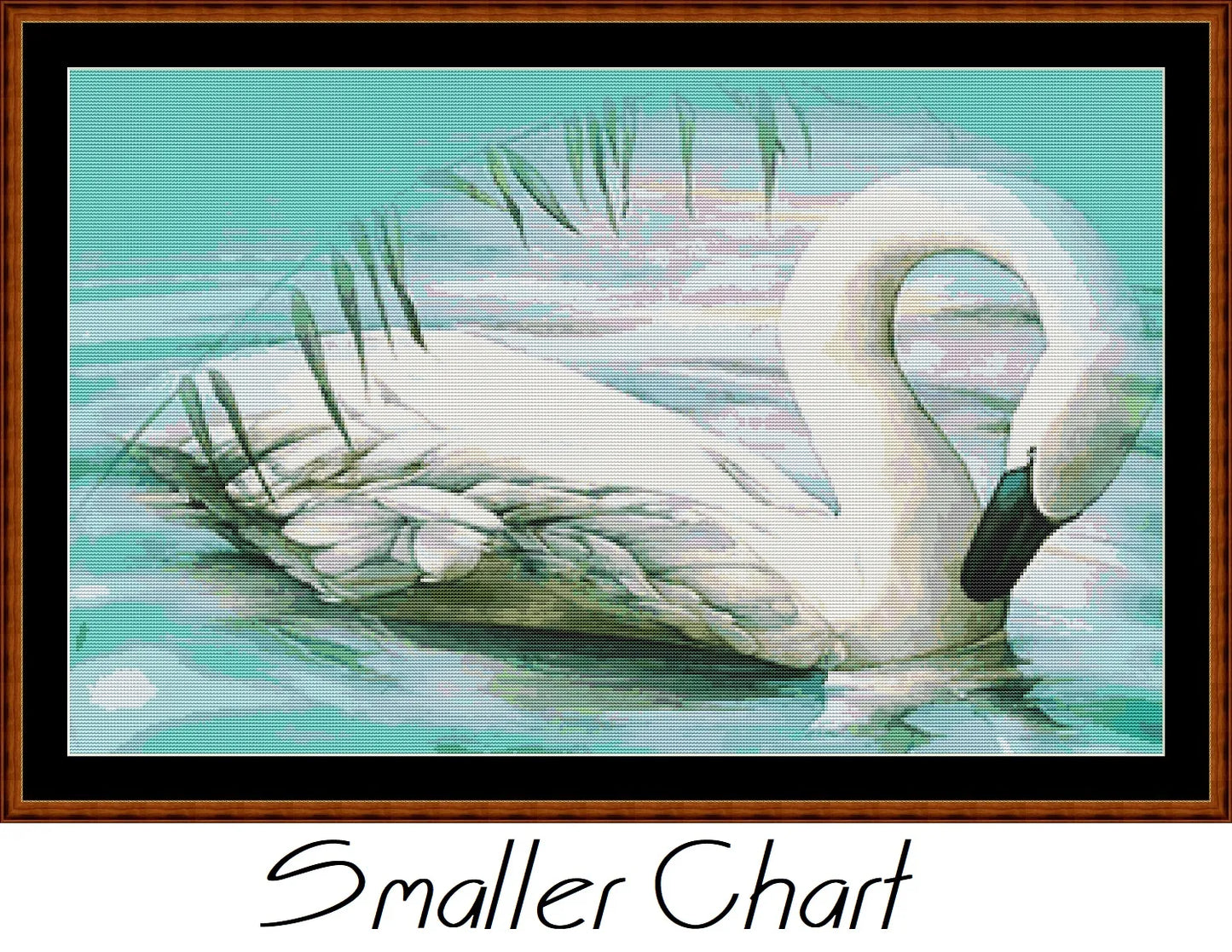 The Swan  