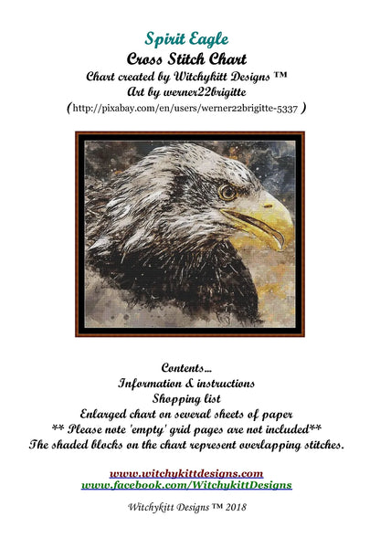 Spirit Eagle  