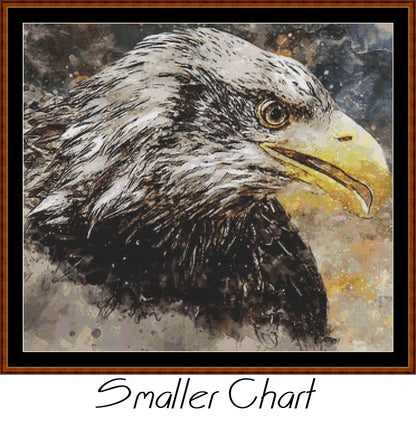 Spirit Eagle  