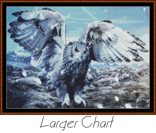 Owl Flight  