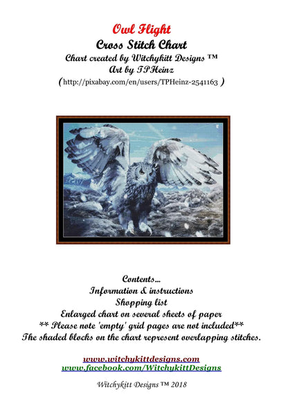 Owl Flight  