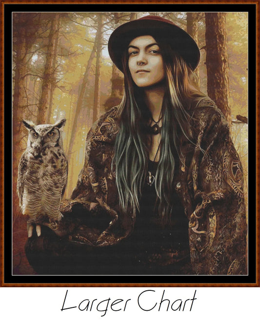 Spirit Guide - Owl  