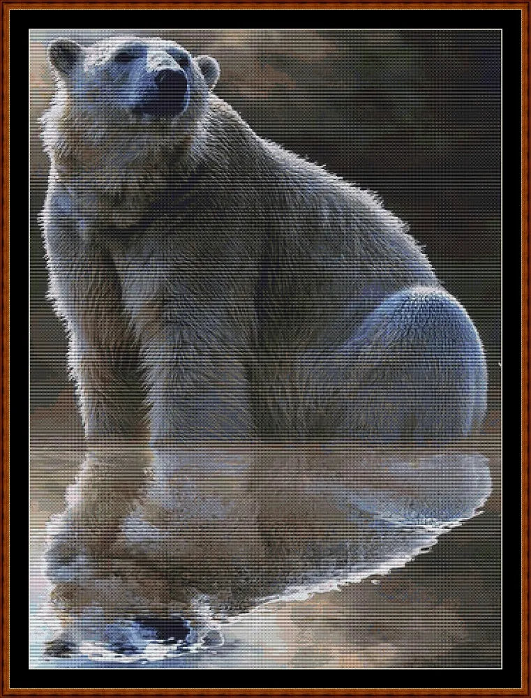 Polar Reflection  