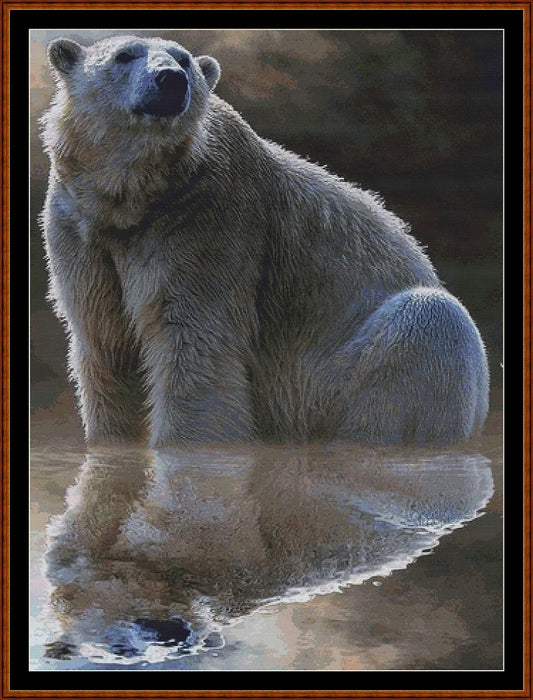 Polar Reflection  