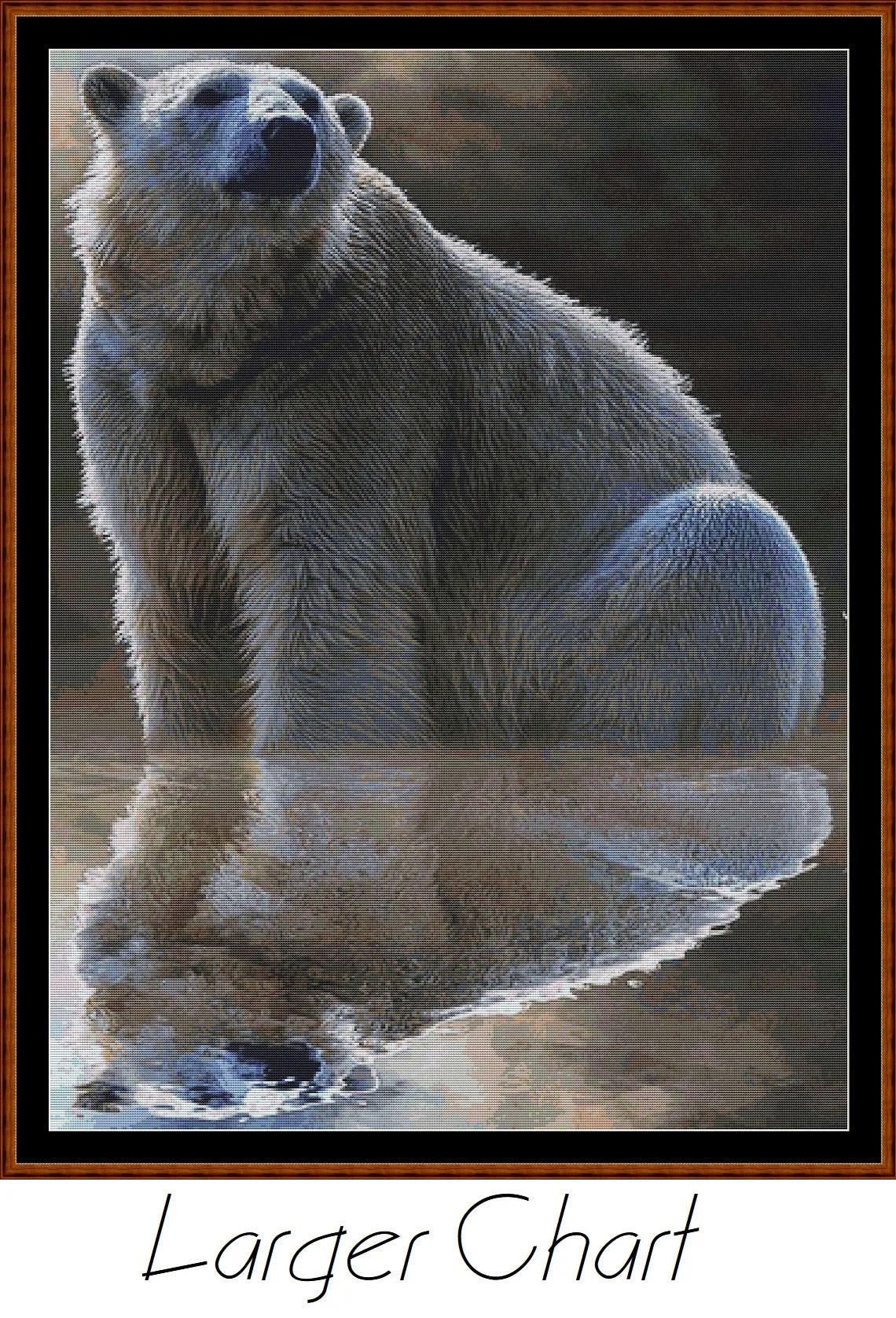 Polar Reflection  