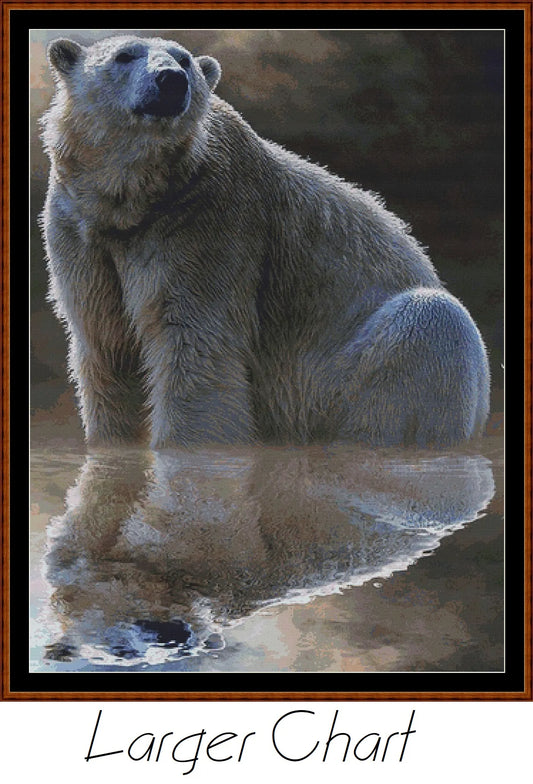 Polar Reflection  