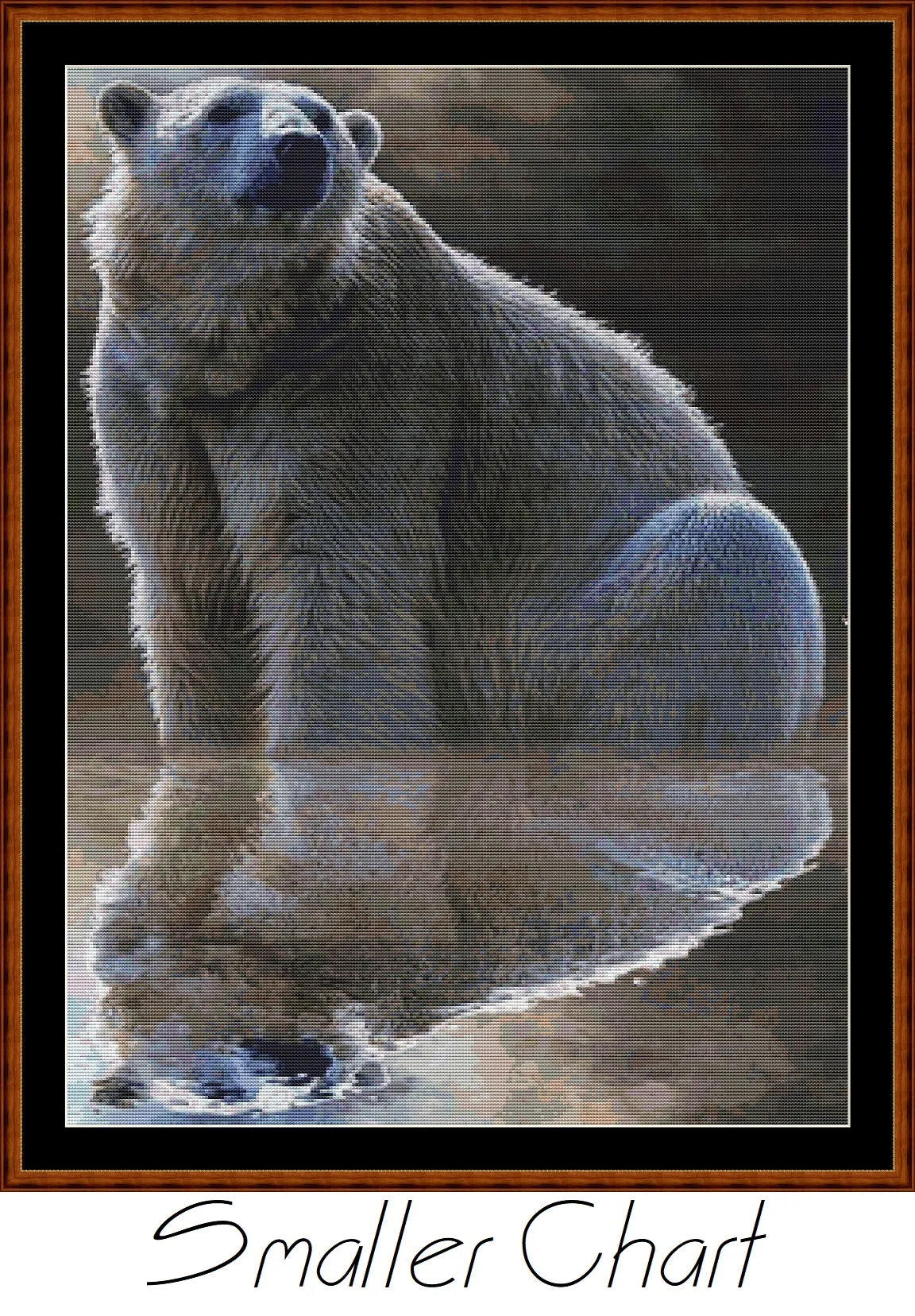 Polar Reflection  