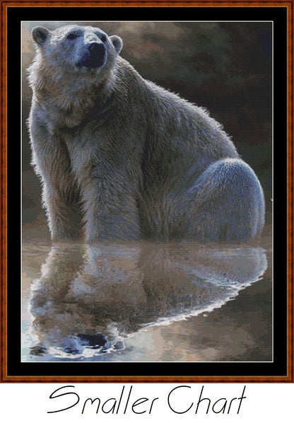 Polar Reflection  