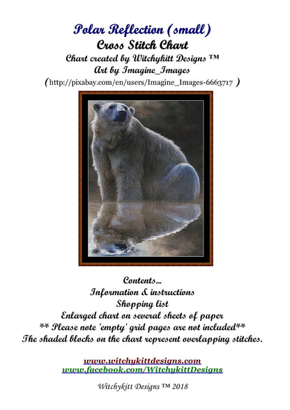 Polar Reflection  