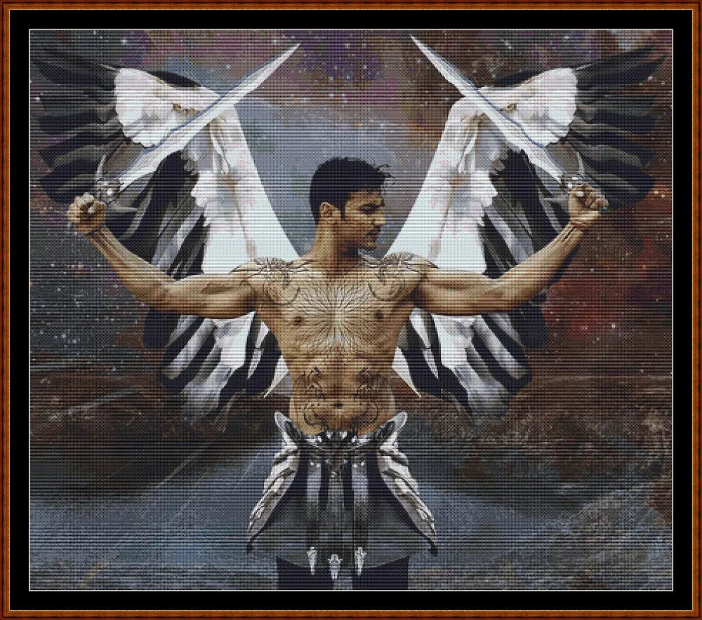 Warrior Angel  