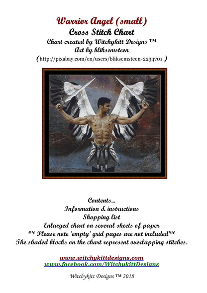 Warrior Angel  