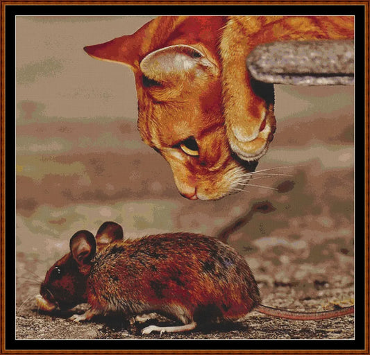Cat & Mouse  