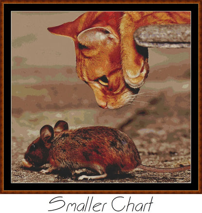 Cat & Mouse  