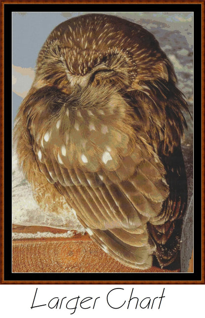Sleepy Owl patterns created from a photo by Brigitte Werner (ArtTower) under CC0 license