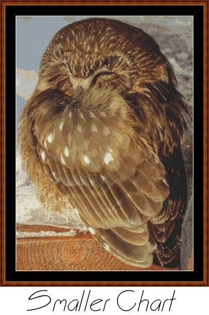 Sleepy Owl patterns created from a photo by Brigitte Werner (ArtTower) under CC0 license