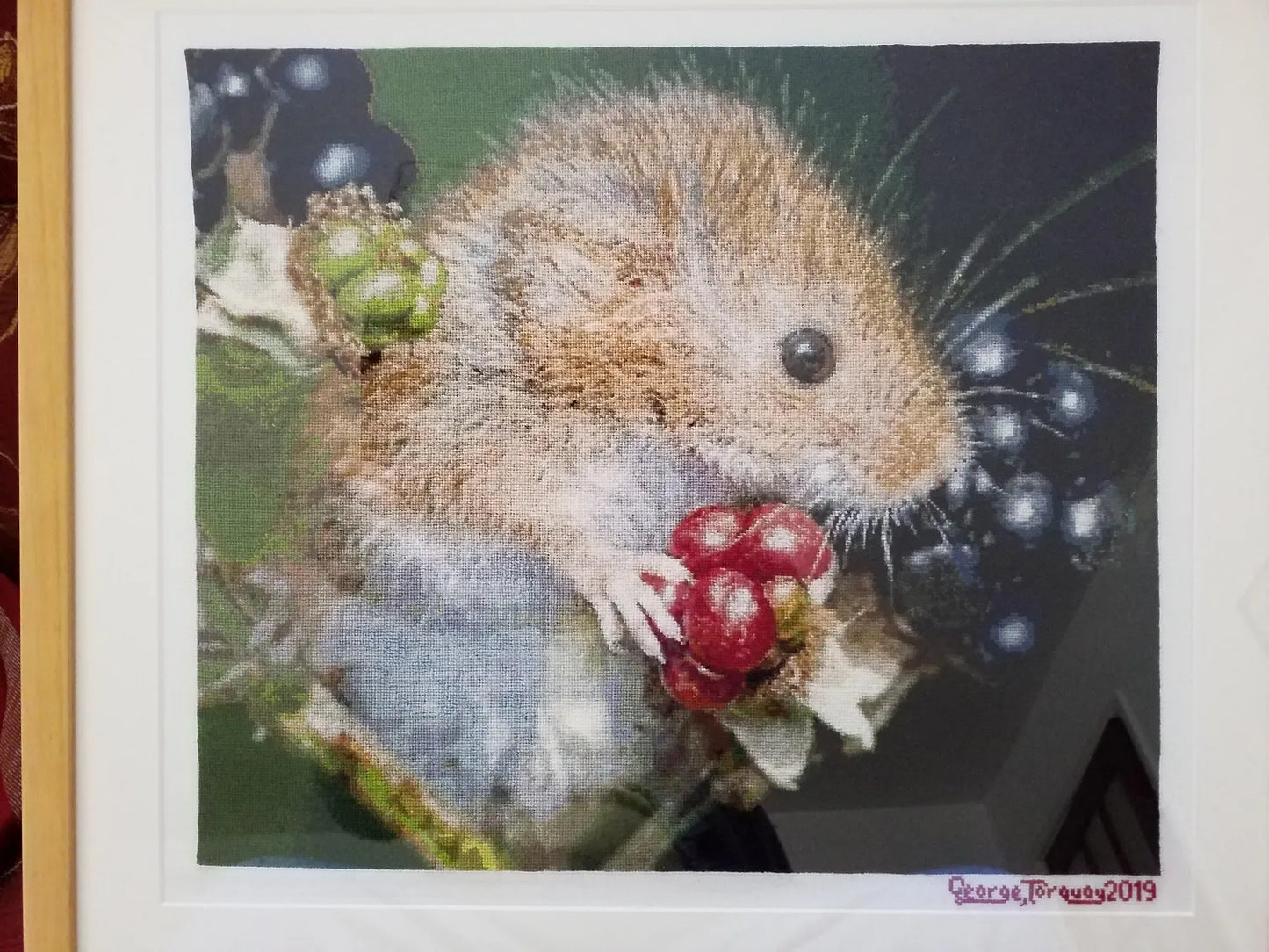 Harvest Mouse  