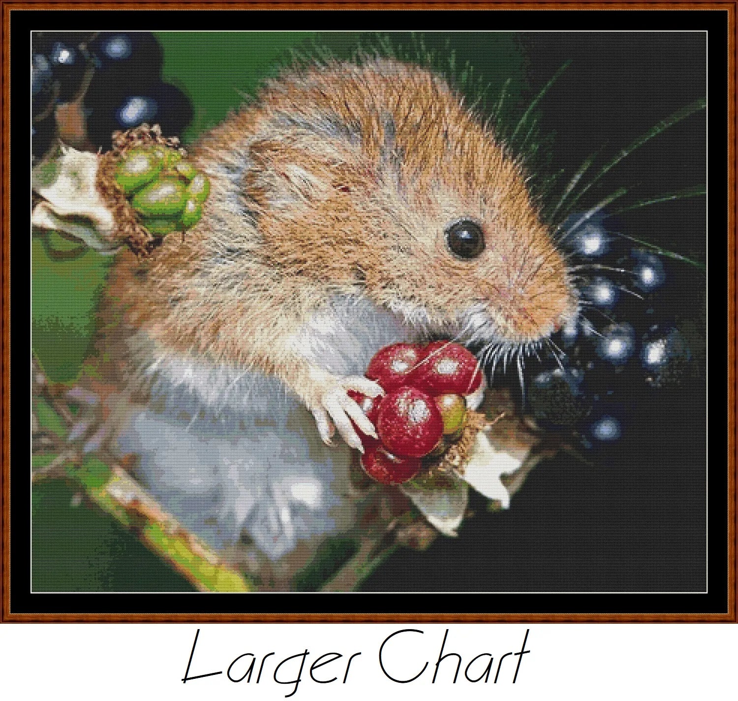 Harvest Mouse  