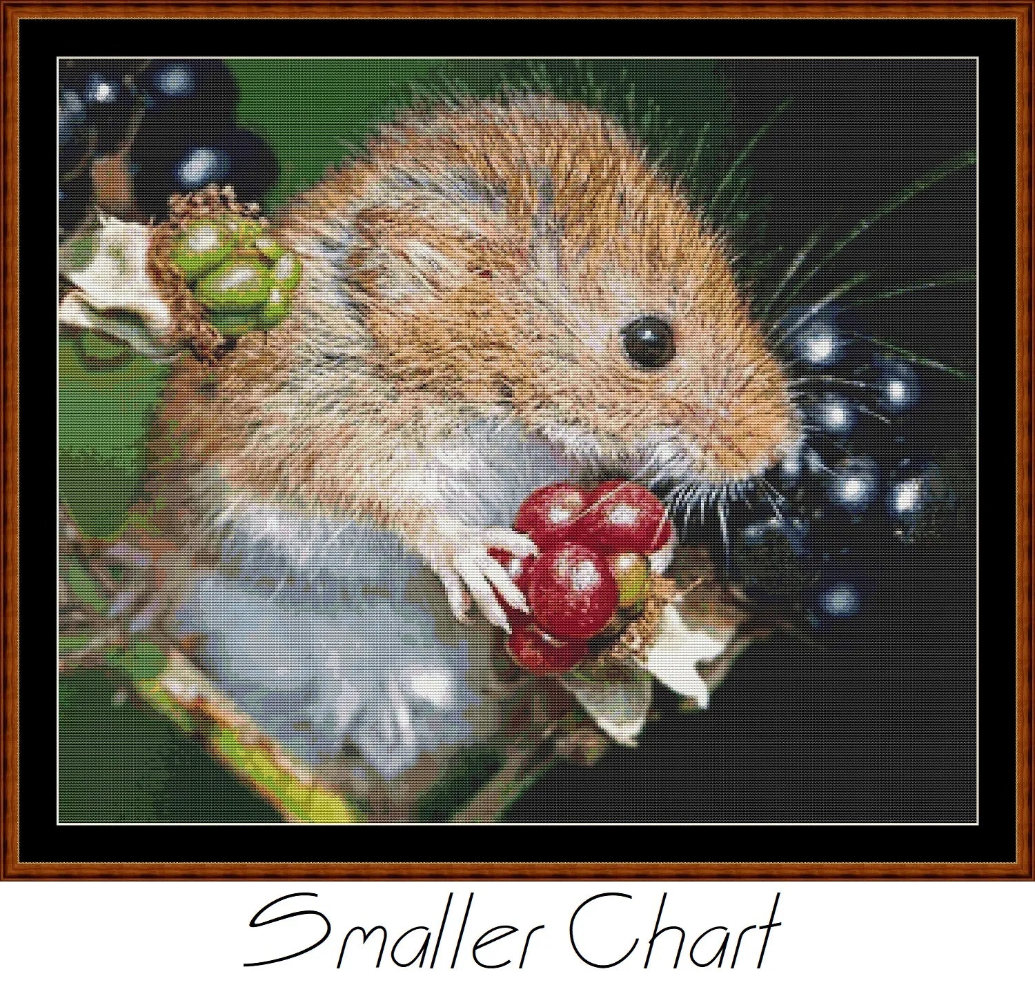 Harvest Mouse  