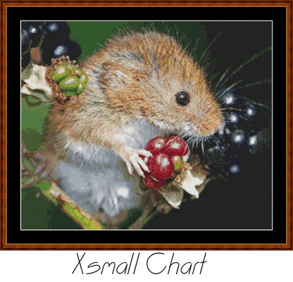 Harvest Mouse  