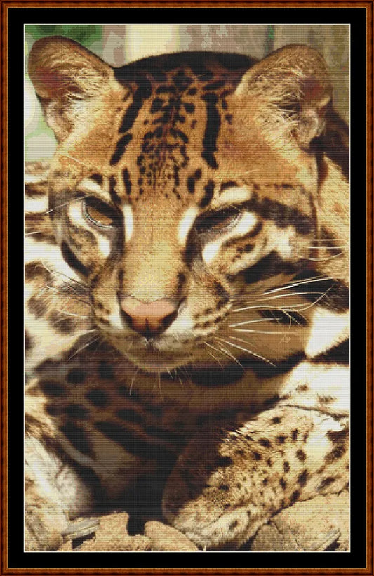 Fierce Creatures - Ocelot  