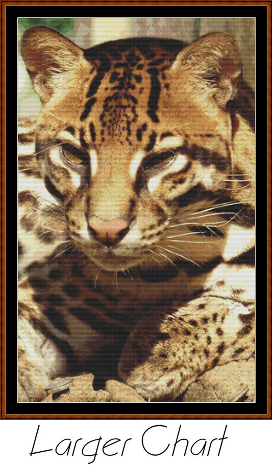 Fierce Creatures - Ocelot  
