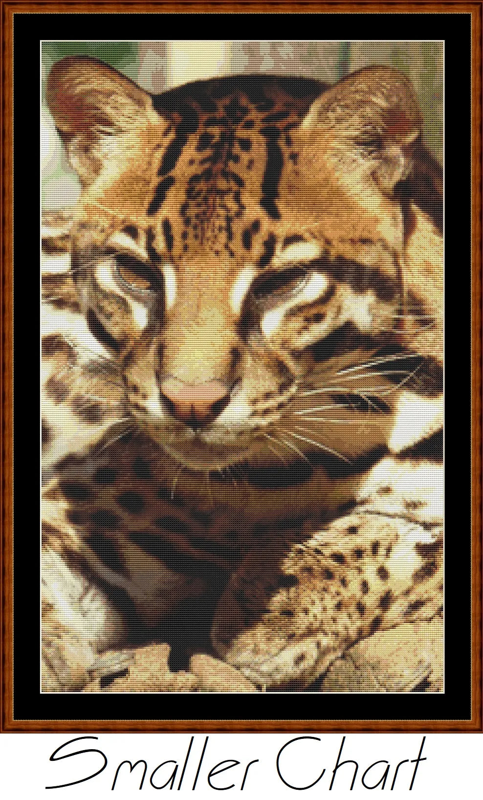 Fierce Creatures - Ocelot  