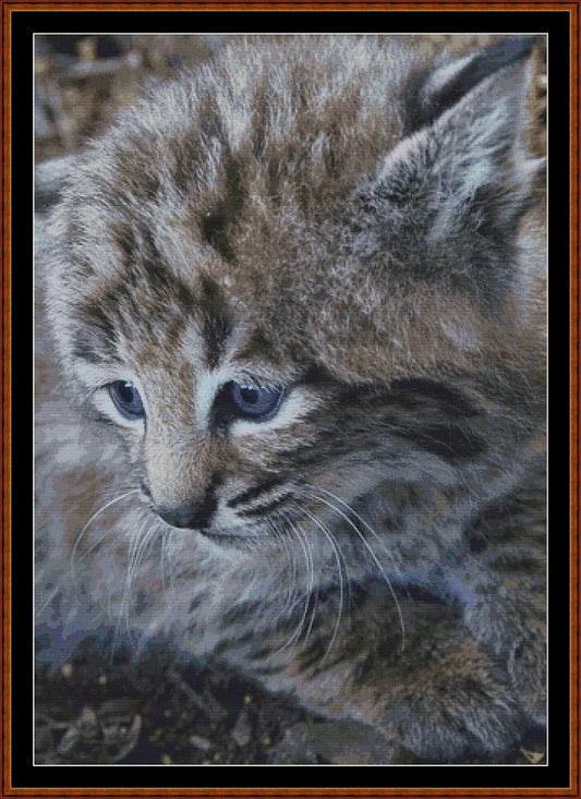 Fierce Babies - Bobcat  