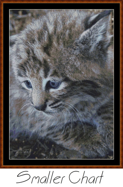 Fierce Babies - Bobcat  