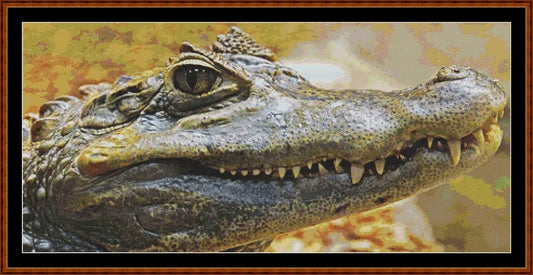 Fierce Creatures - Alligator  