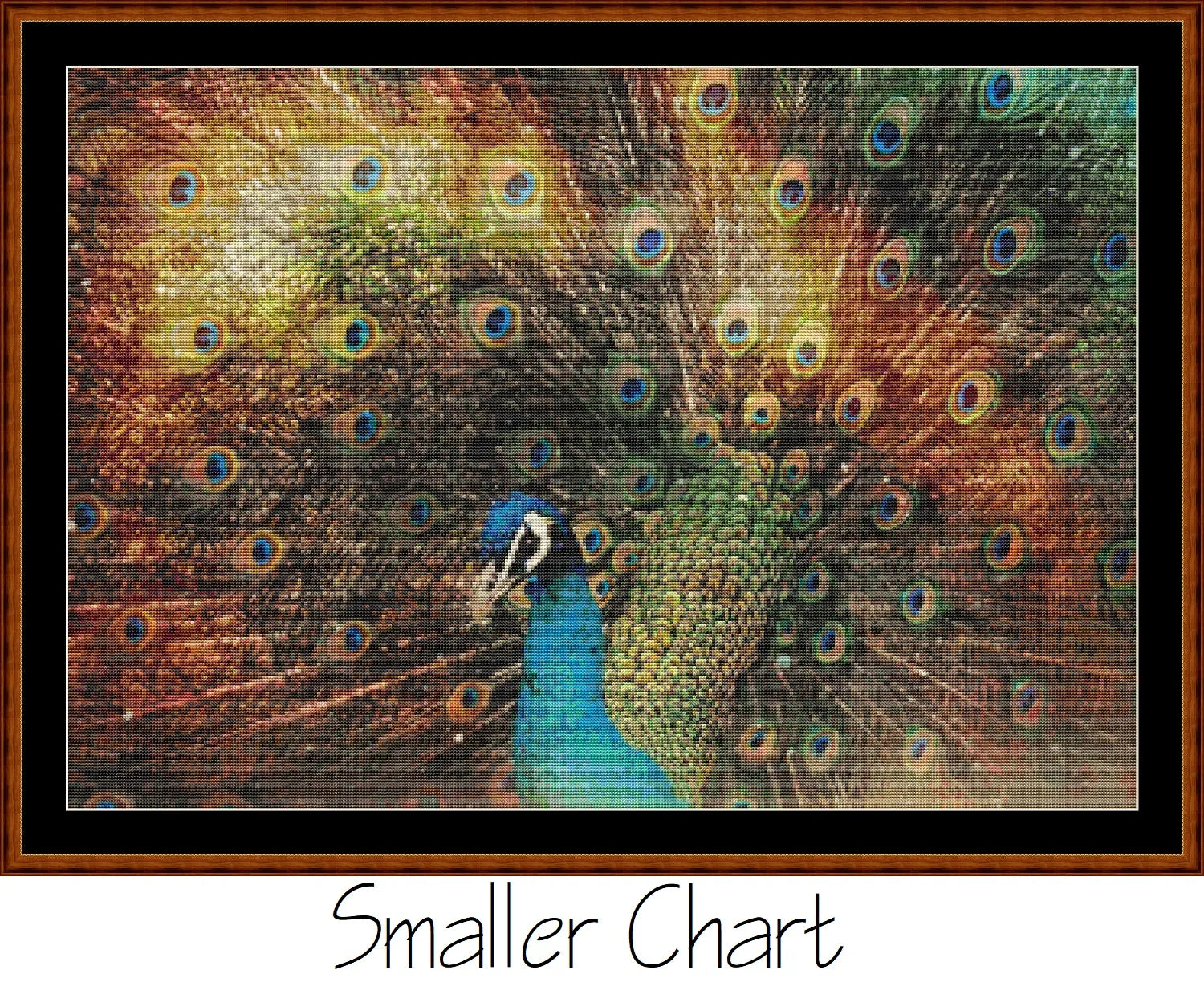Rainbow Peacock  