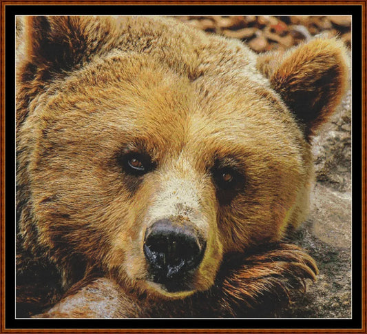 Fierce Creatures - Grizzly  