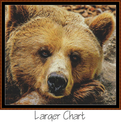 Fierce Creatures - Grizzly  