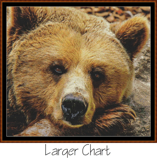 Fierce Creatures - Grizzly  