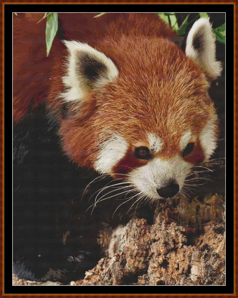 Fierce Creatures - Red Panda  