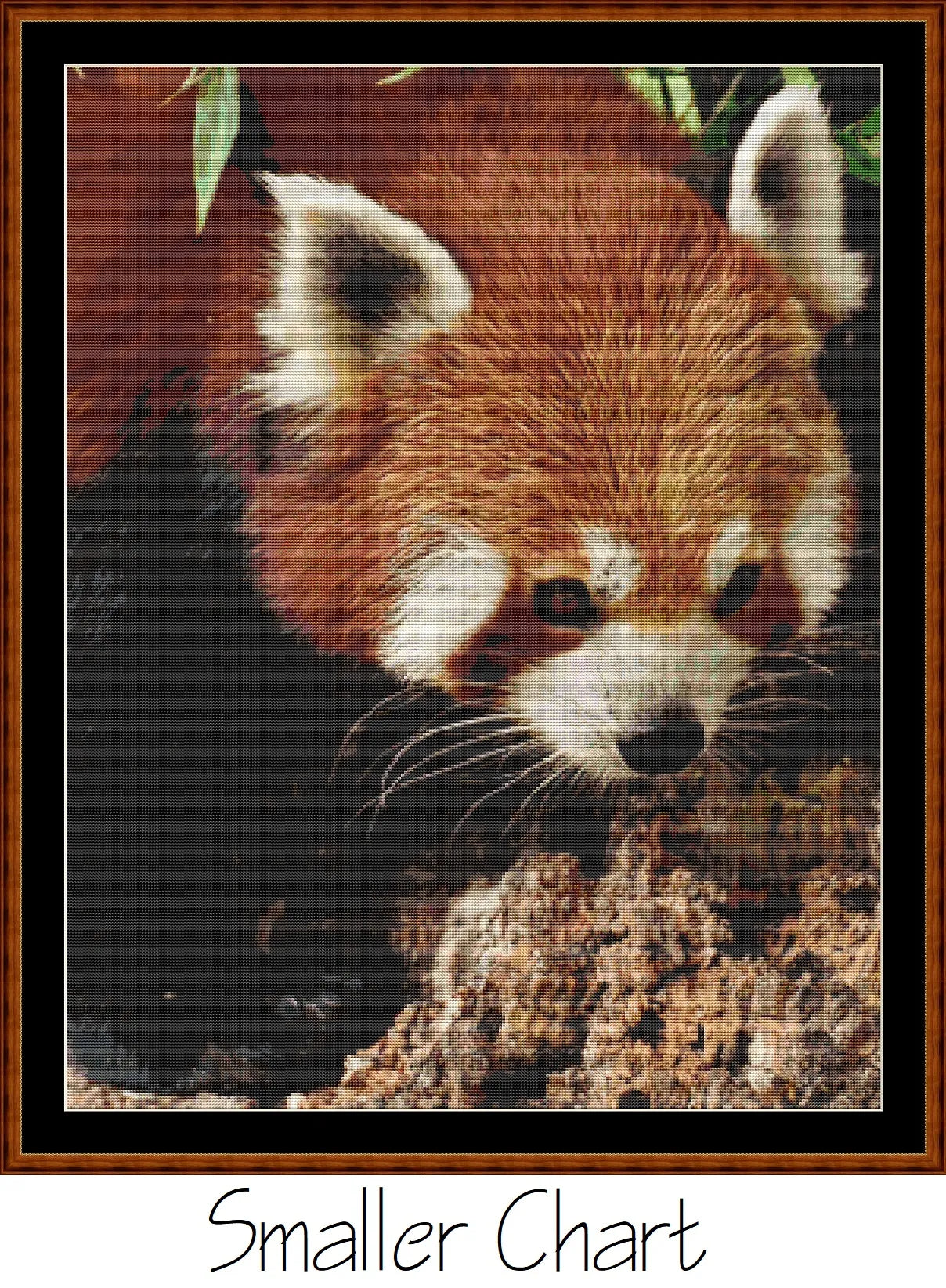 Fierce Creatures - Red Panda  